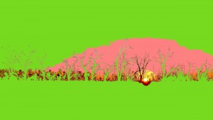 Lake Sunset - Green